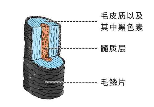 微信图片_20220330154849