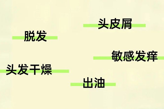 黑奥秘品牌资讯